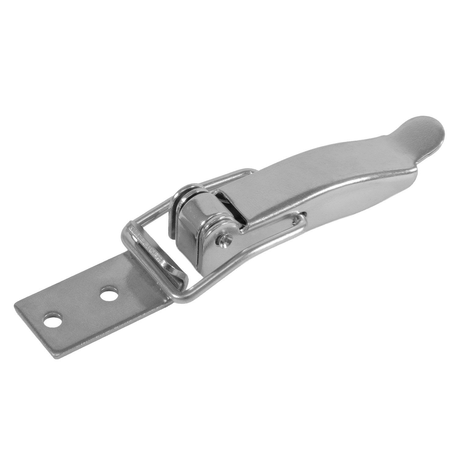 Hebelverschluss (V2A)