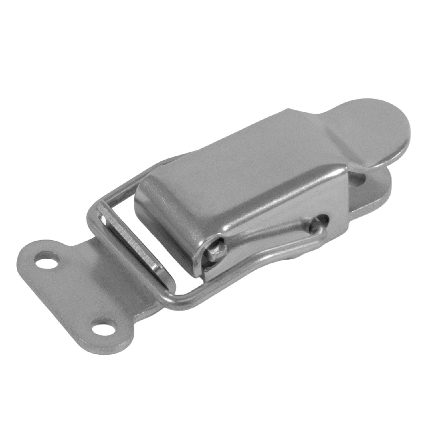 Hebelverschluss (V2A)