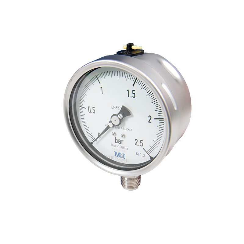 Edelstahlmanometer Ø 100 mm Edelstahlmanometer Ø 100 mm